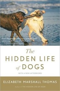 the hidden life of dogs book review
