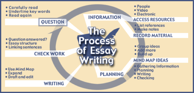 essay writing process